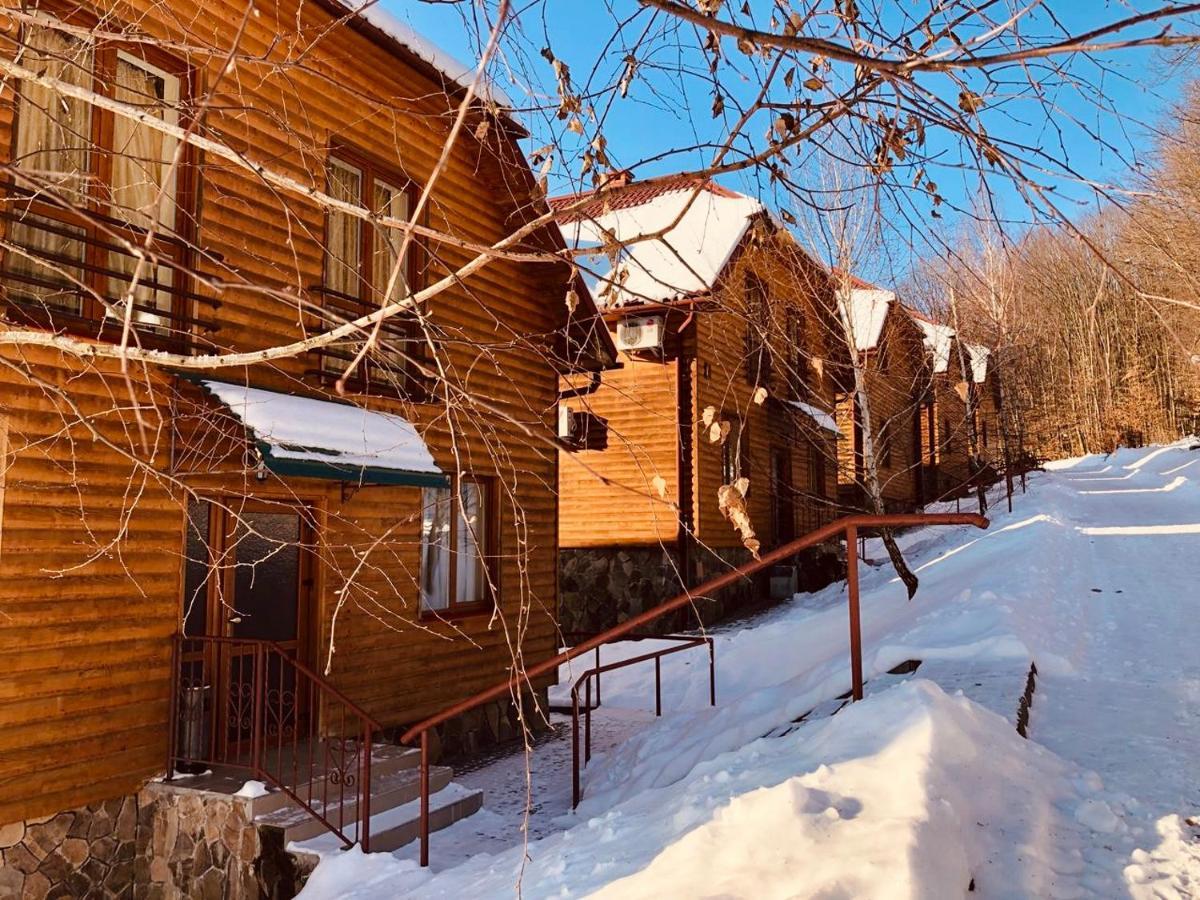 Termal Star Complex Hotel Nyzhne Solotvyno Exterior photo