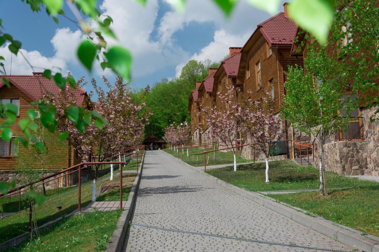 Termal Star Complex Hotel Nyzhne Solotvyno Exterior photo